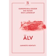 Älv