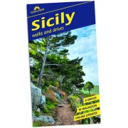 Sicily Sunflower